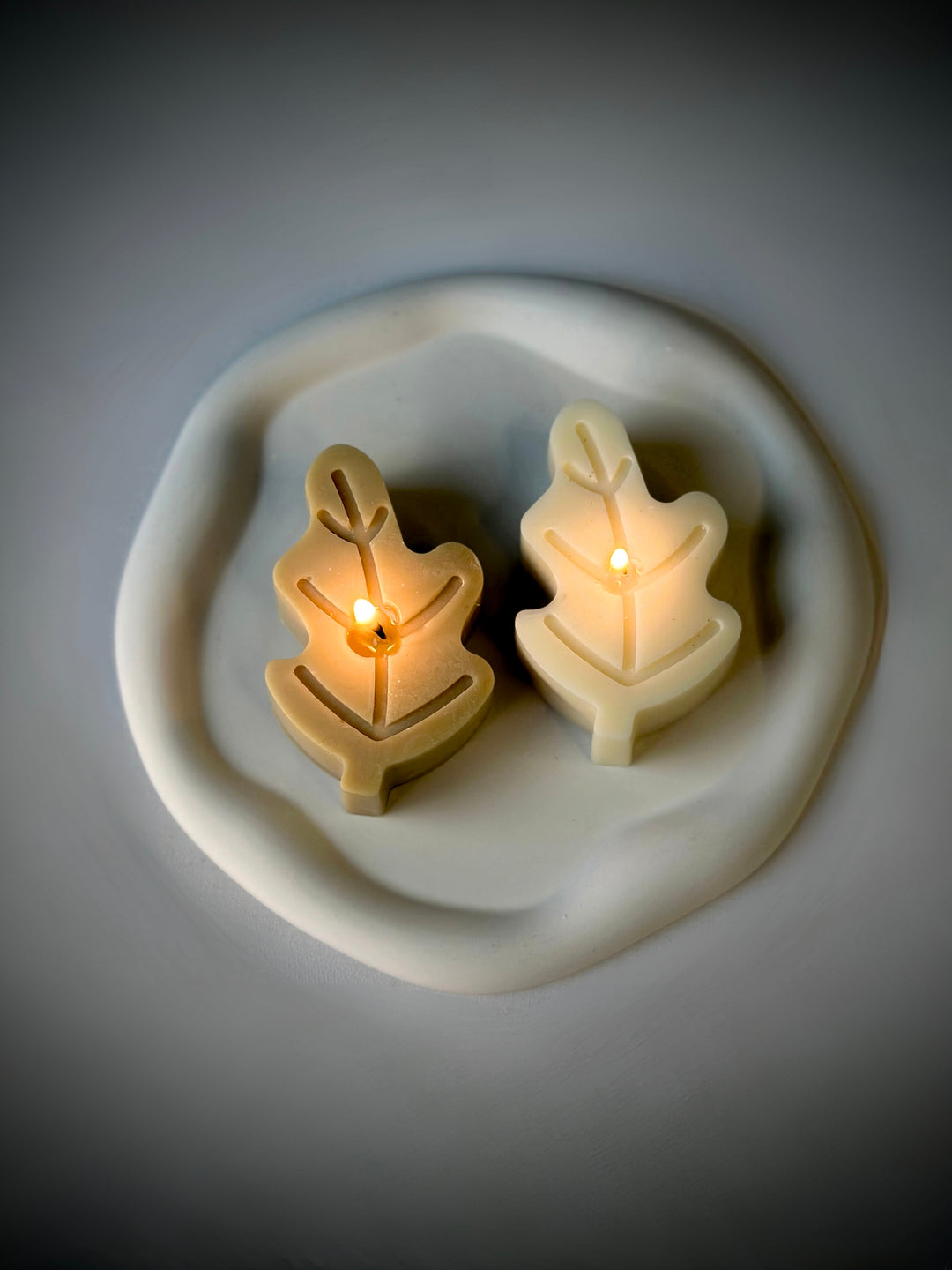 Leaf Wax Love