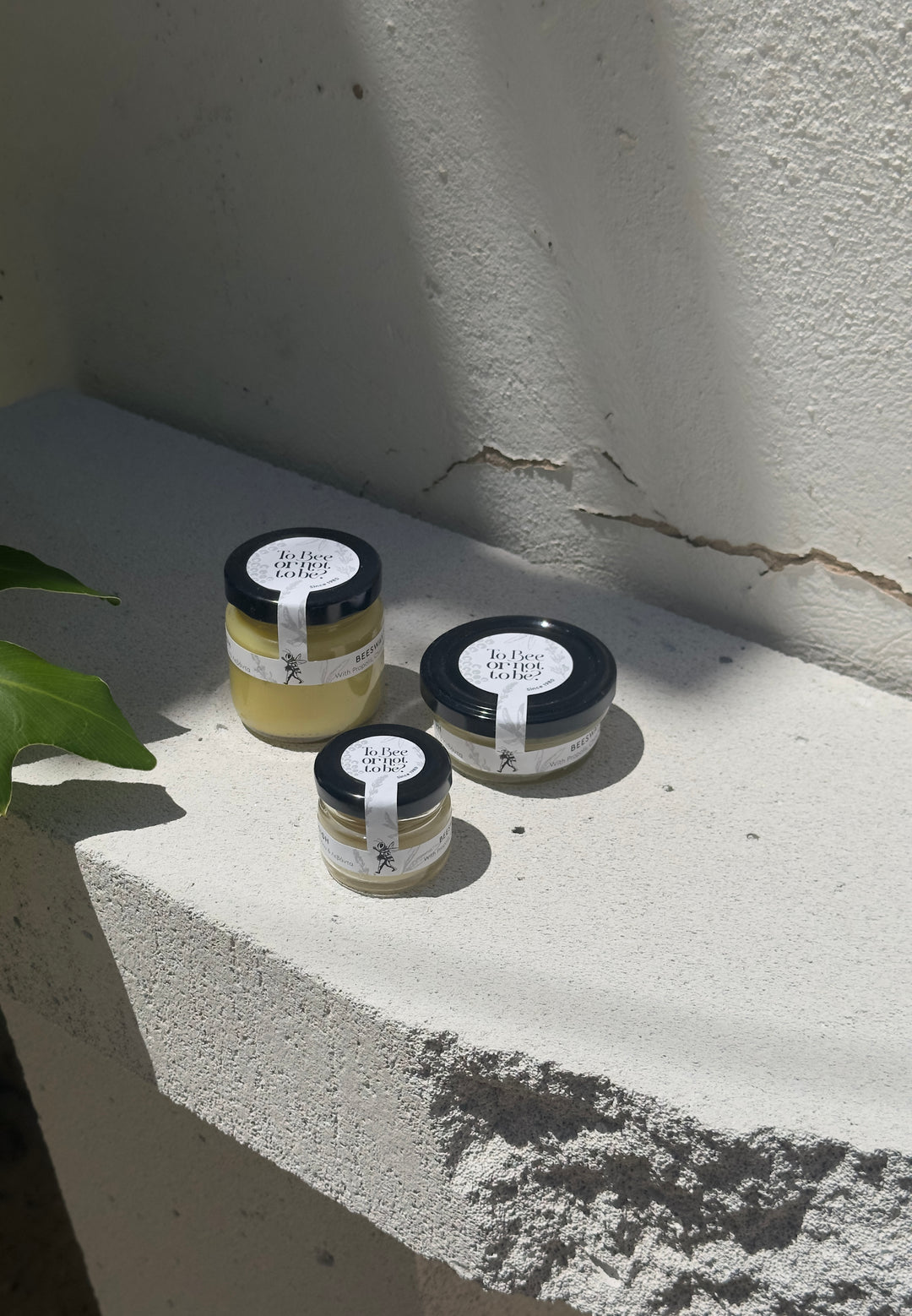 BeesWax Salve | Κεραλοιφή