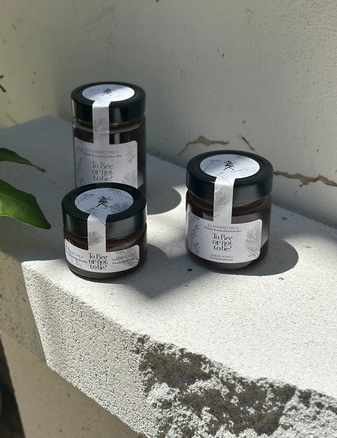 Μέλι Πεύκο & Αγριολούλουδο | Pine & Wildflower Honey