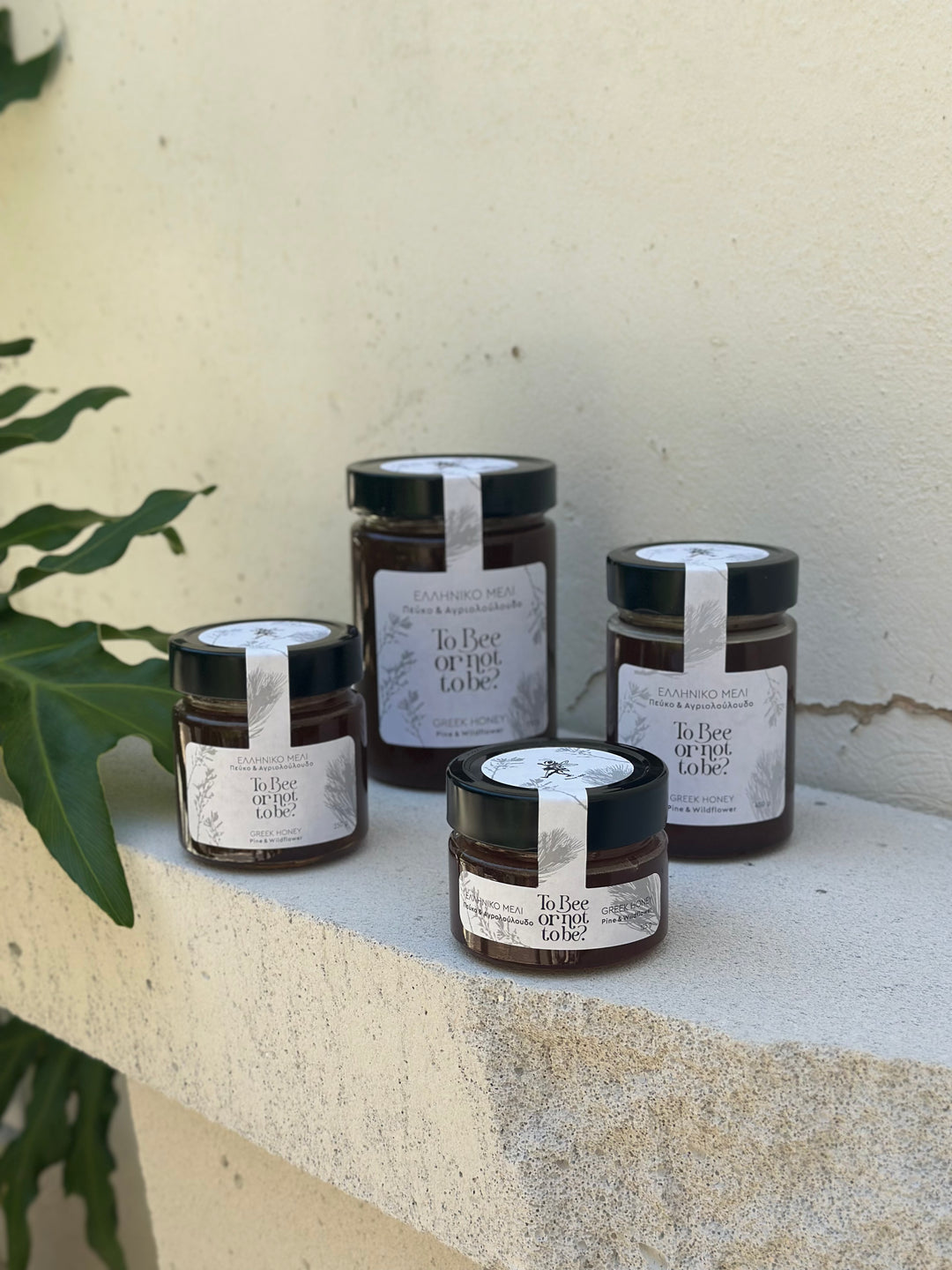 Μέλι Πεύκο & Αγριολούλουδο | Pine & Wildflower Honey