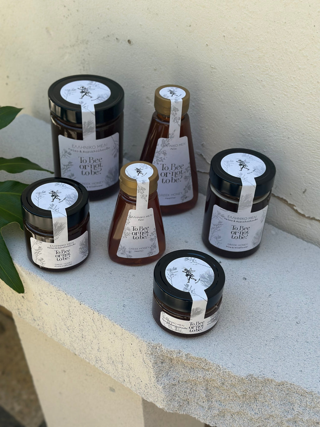 Μέλι Πεύκο & Θυμάρι | Pine & Thyme Honey