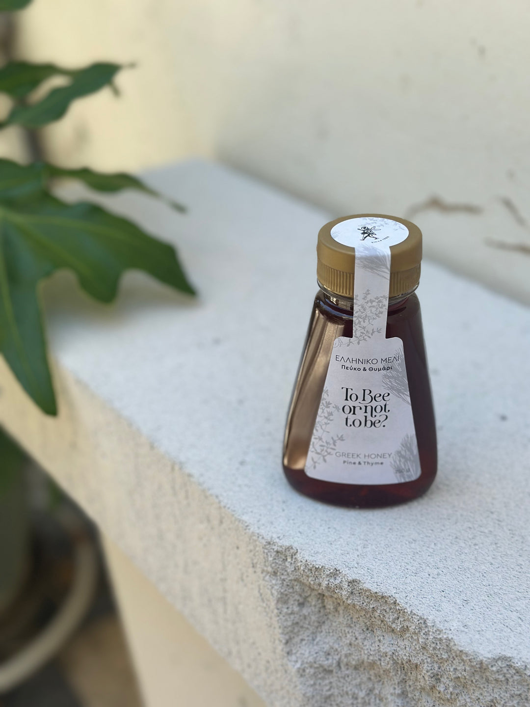 Μέλι Πεύκο & Θυμάρι | Pine & Thyme Honey
