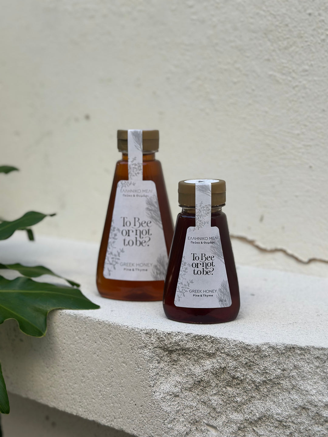 Μέλι Πεύκο & Θυμάρι | Pine & Thyme Honey