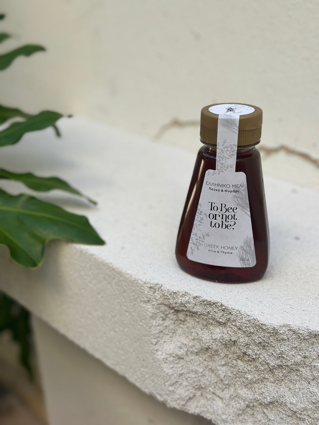 Μέλι Πεύκο & Θυμάρι | Pine & Thyme Honey