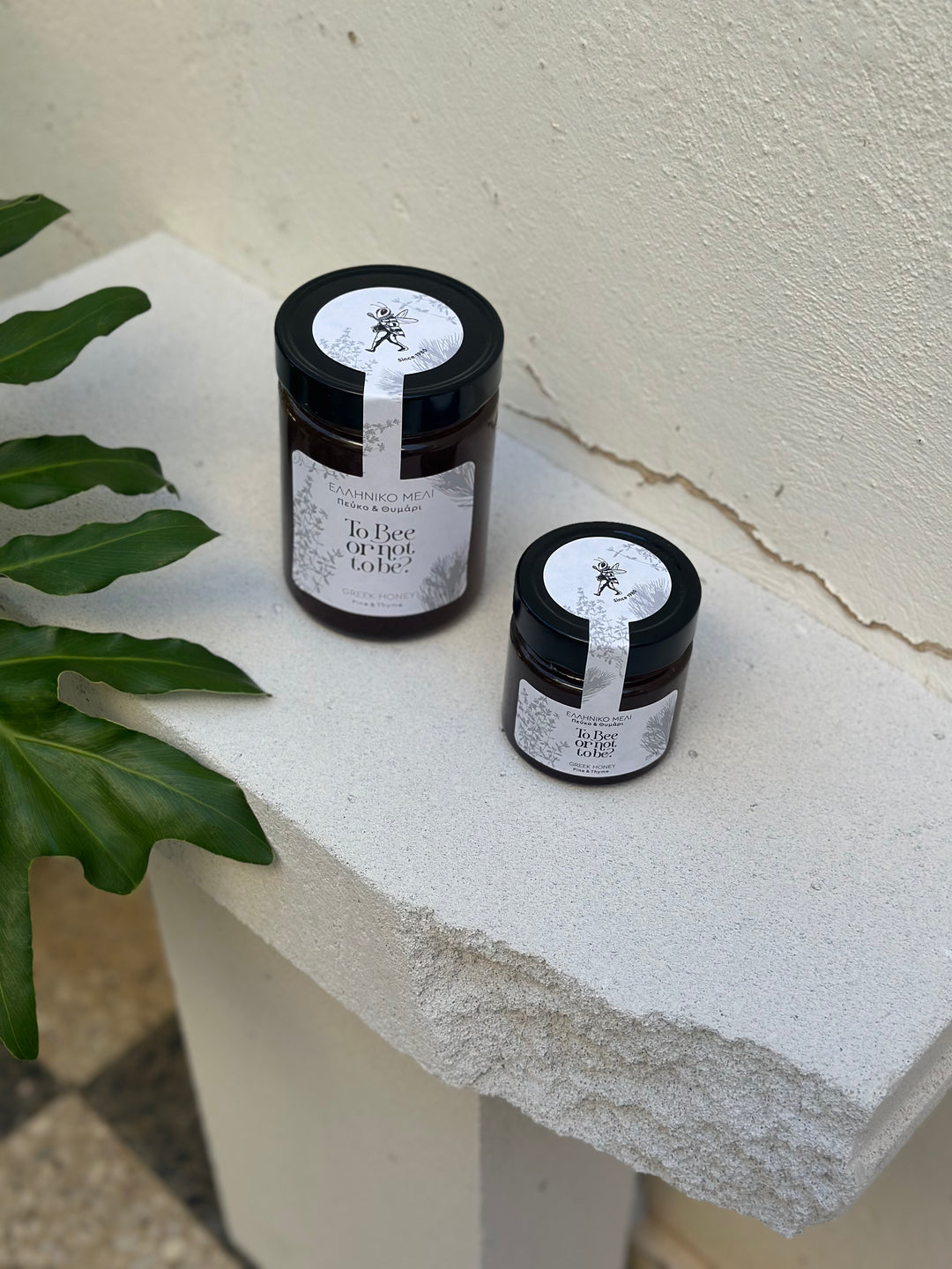 Μέλι Πεύκο & Θυμάρι | Pine & Thyme Honey