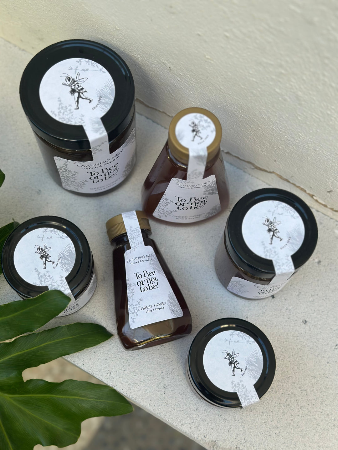 Μέλι Πεύκο & Θυμάρι | Pine & Thyme Honey