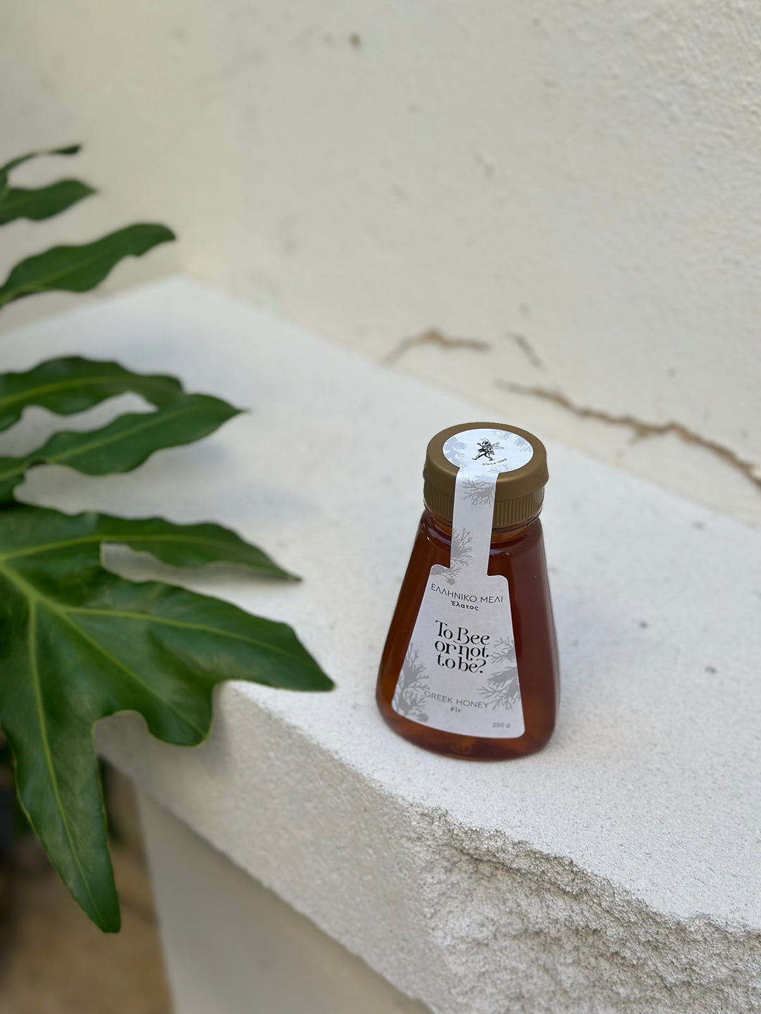 Μέλι Έλατος | Fir Honey