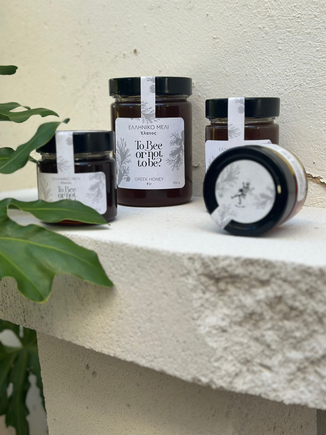 Μέλι Έλατος | Fir Honey