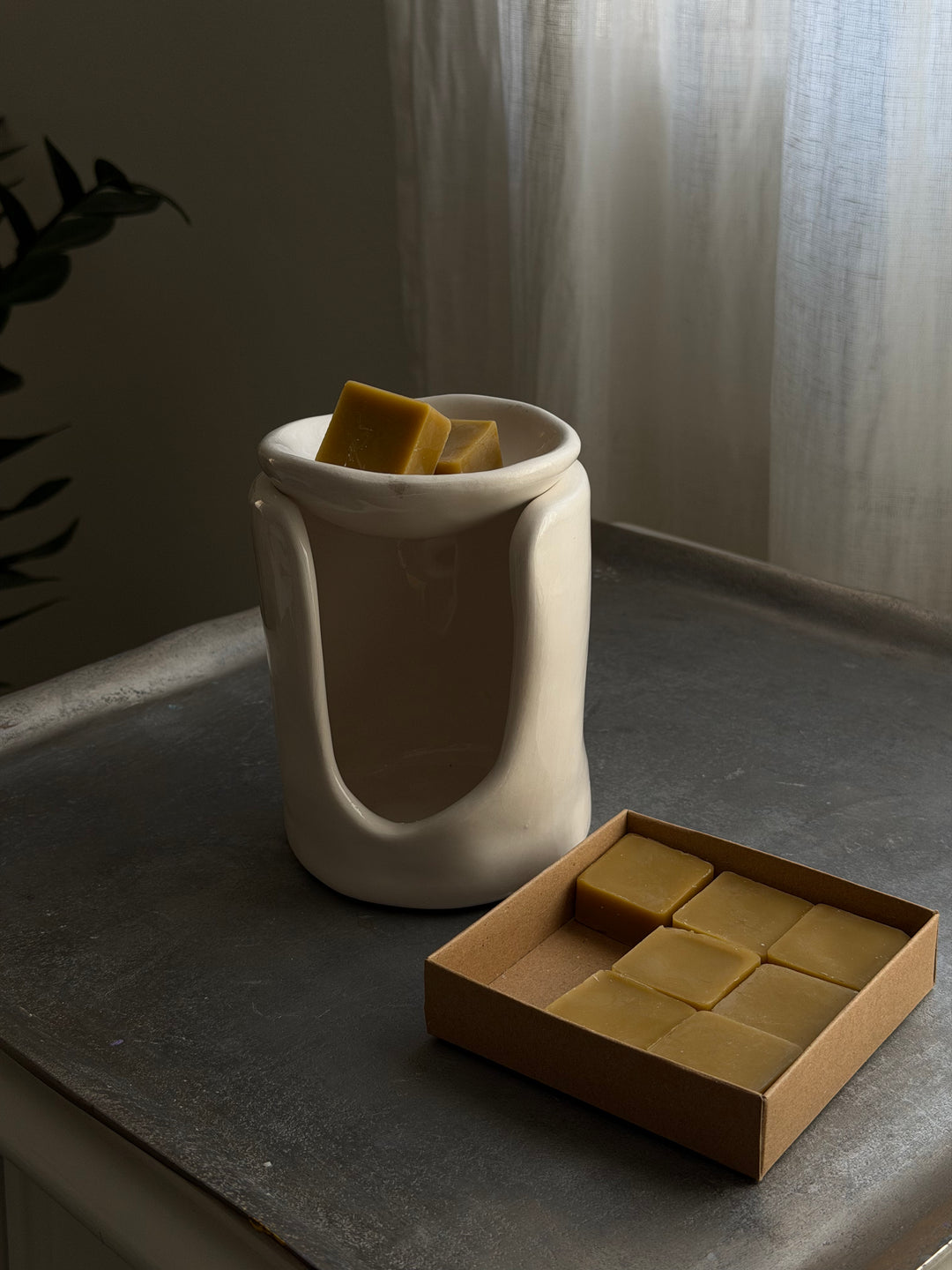 THE QUIET ACT | BEESWAX MELTS