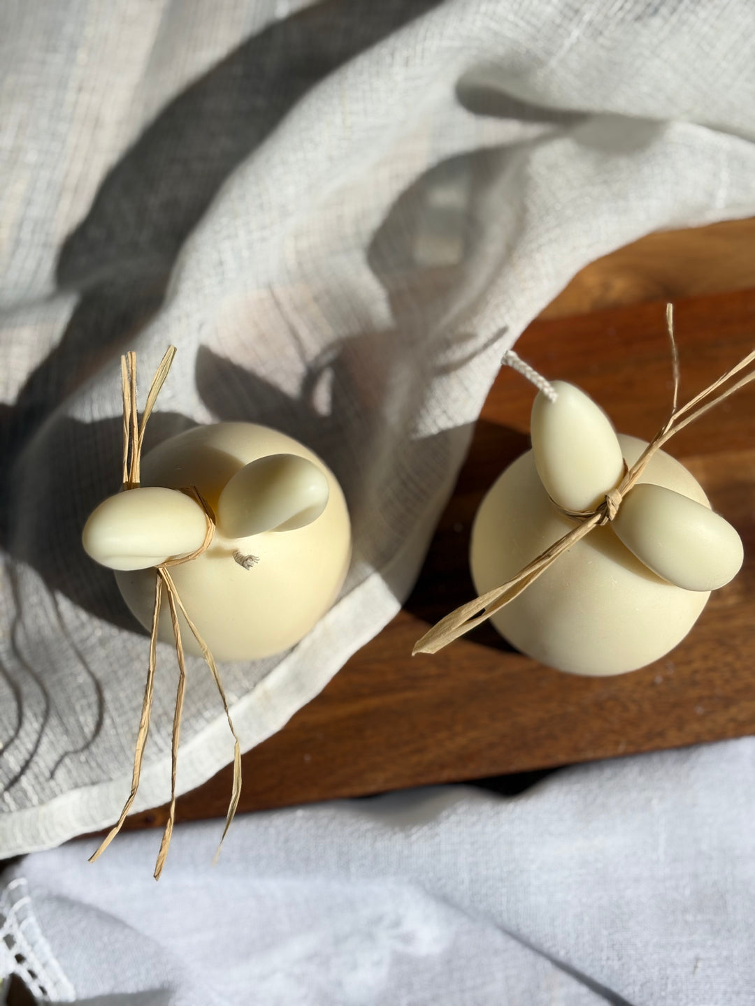 The Sculpted Bunnies