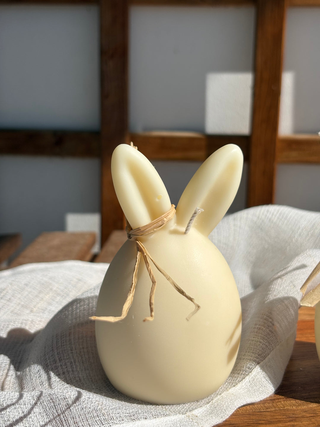 The Sculpted Bunnies