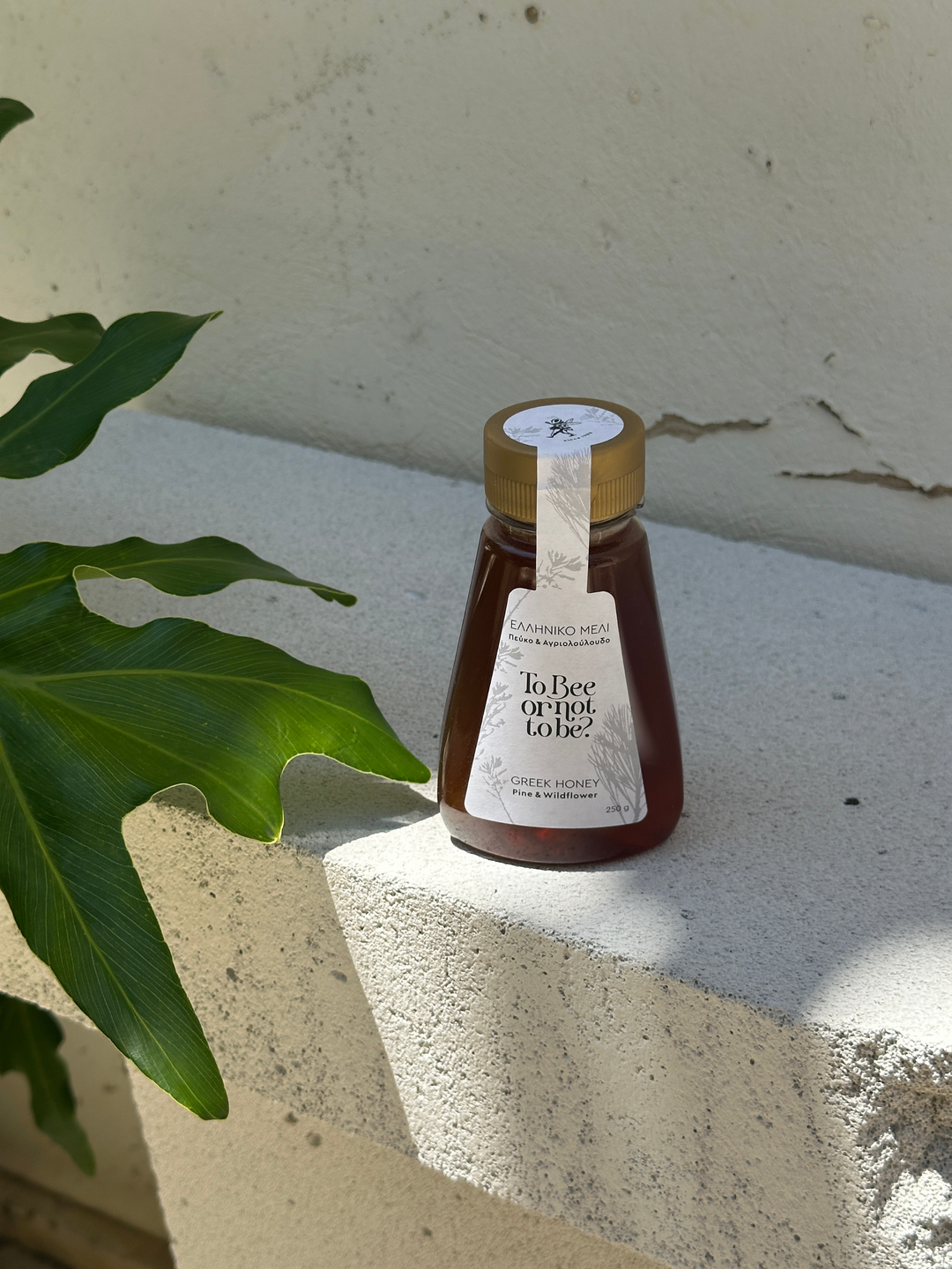 Μέλι Πεύκο & Αγριολούλουδο | Pine & Wildflower Honey